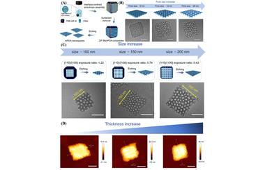 Interfacial confinement-enabled precise synthesis of square-shaped 2D mesoporous nanosheets 2026.100975